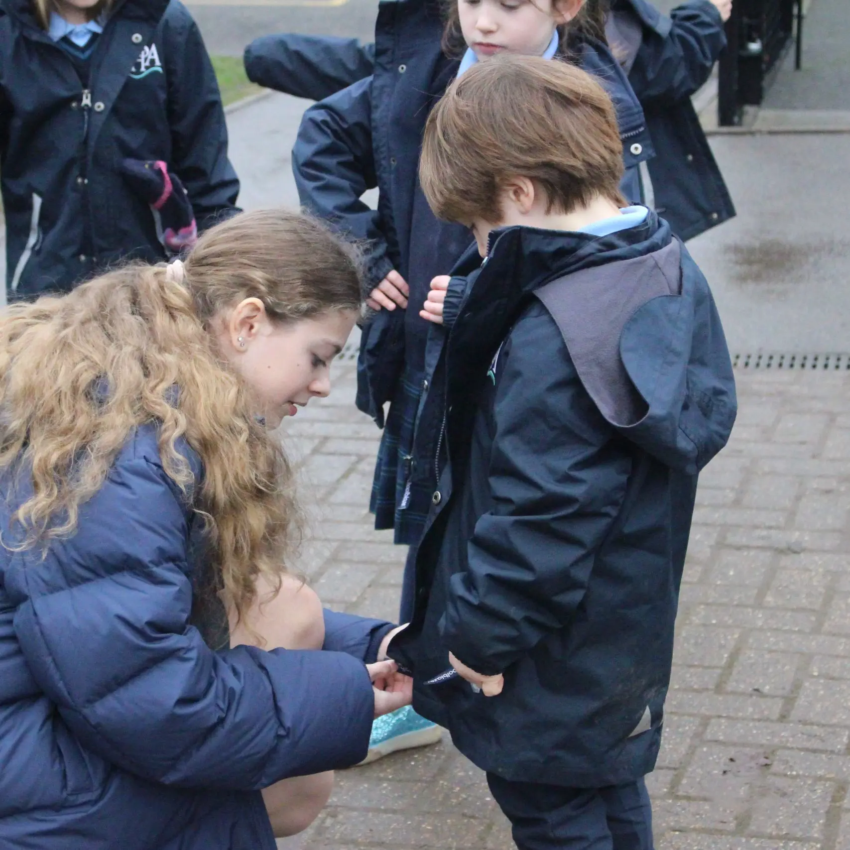  OptimizedImage,,,Optimized